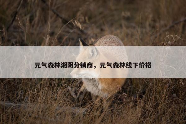 元气森林湘阴分销商，元气森林线下价格