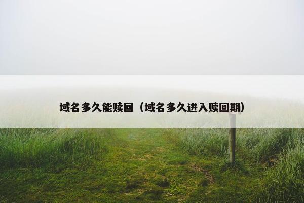 域名多久能赎回（域名多久进入赎回期）