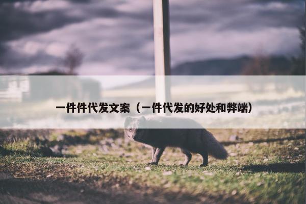 一件件代发文案（一件代发的好处和弊端）