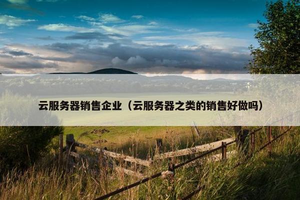 云服务器销售企业（云服务器之类的销售好做吗）