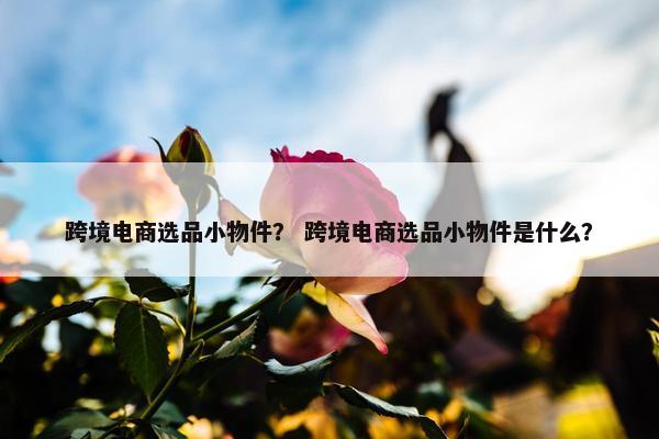 跨境电商选品小物件？ 跨境电商选品小物件是什么？