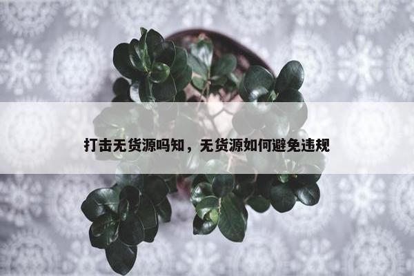 打击无货源吗知，无货源如何避免违规