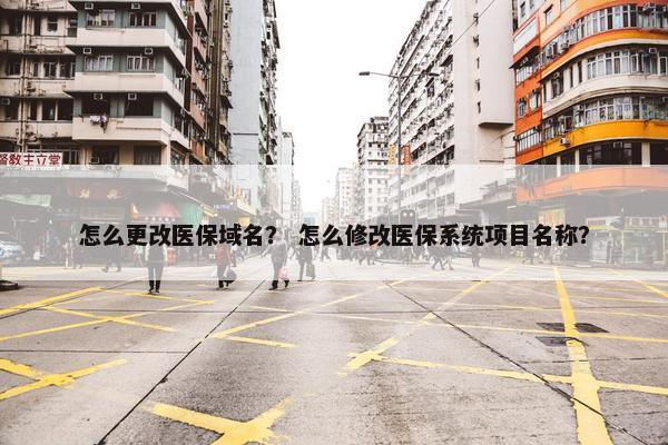 怎么更改医保域名？ 怎么修改医保系统项目名称？
