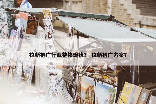 拉新推广行业整体现状？ 拉新推广方案？