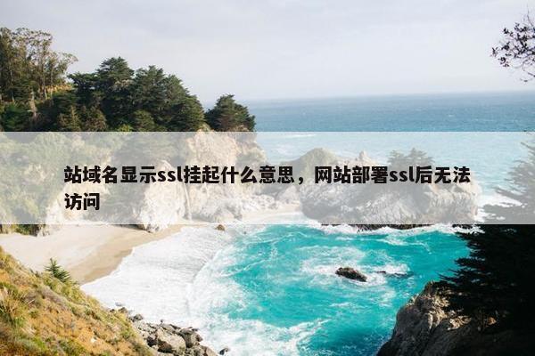 站域名显示ssl挂起什么意思，网站部署ssl后无法访问