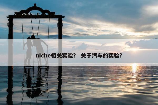 niche相关实验？ 关于汽车的实验？