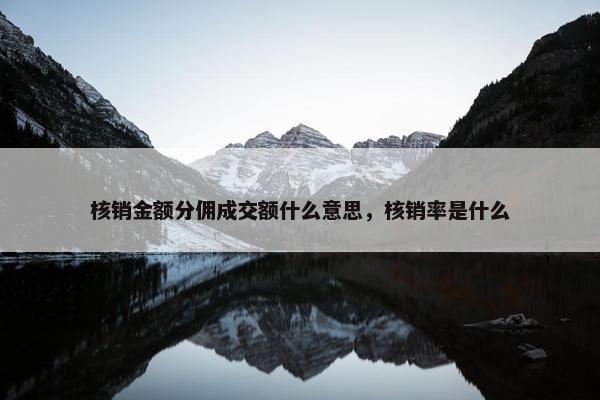 核销金额分佣成交额什么意思，核销率是什么
