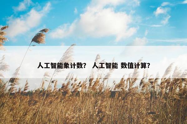 人工智能象计数？ 人工智能 数值计算？