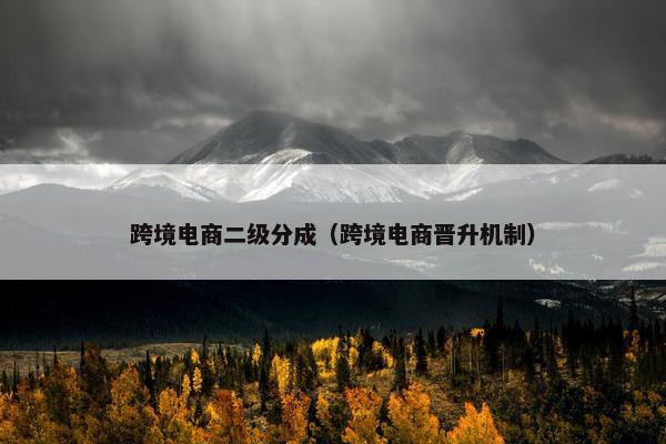 跨境电商二级分成（跨境电商晋升机制）
