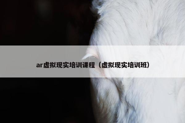 ar虚拟现实培训课程（虚拟现实培训班）