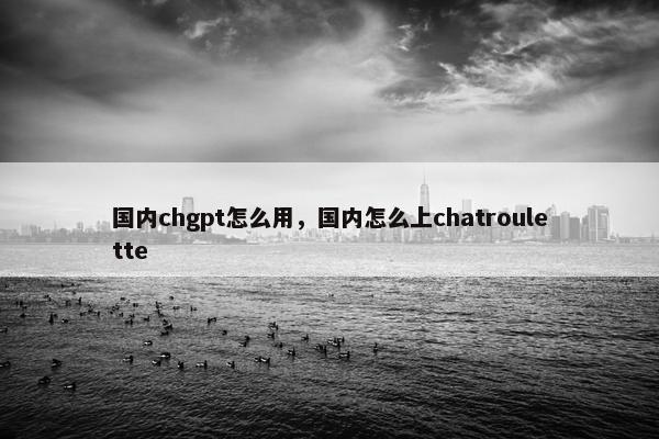 国内chgpt怎么用，国内怎么上chatroulette