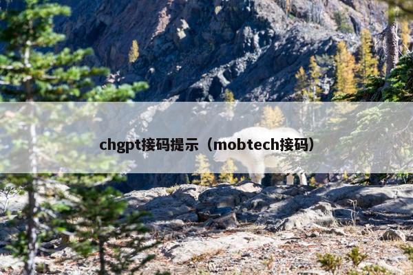 chgpt接码提示（mobtech接码）