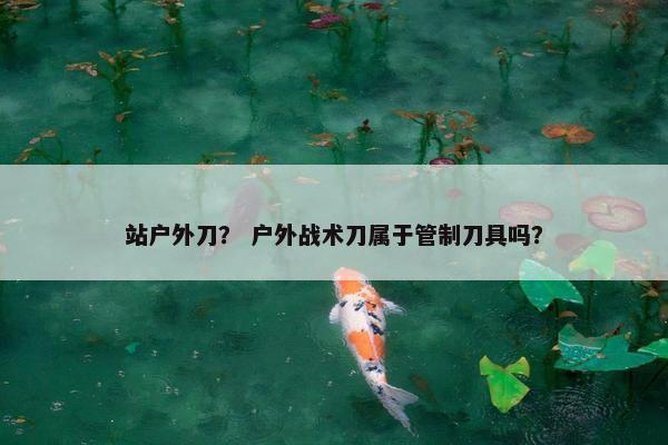 站户外刀？ 户外战术刀属于管制刀具吗？