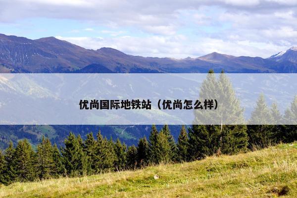 优尚国际地铁站（优尚怎么样）