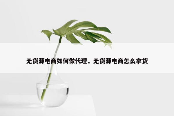 无货源电商如何做代理，无货源电商怎么拿货