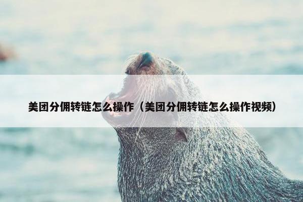 美团分佣转链怎么操作（美团分佣转链怎么操作视频）