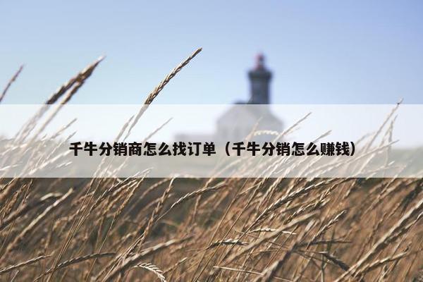 千牛分销商怎么找订单（千牛分销怎么赚钱）