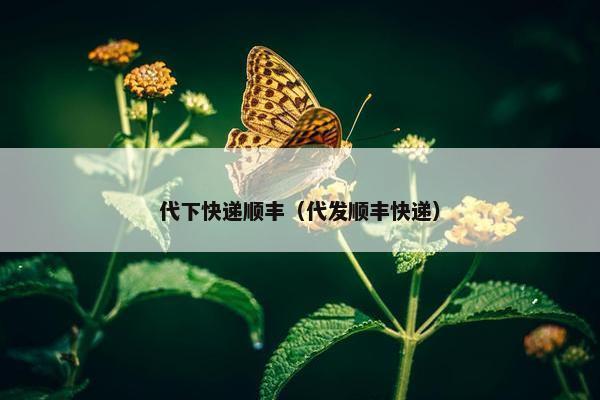 代下快递顺丰（代发顺丰快递）