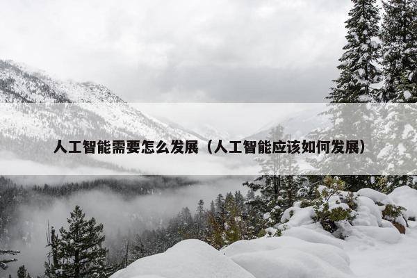 人工智能需要怎么发展（人工智能应该如何发展）