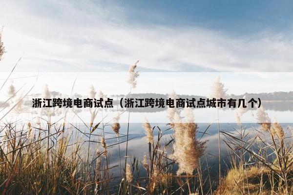 浙江跨境电商试点（浙江跨境电商试点城市有几个）
