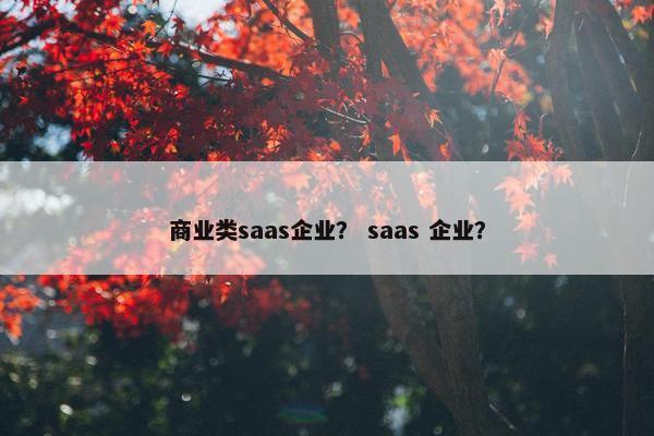 商业类saas企业？ saas 企业？