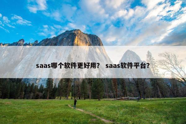 saas哪个软件更好用？ saas软件平台？