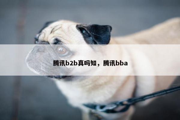 腾讯b2b真吗知，腾讯bba