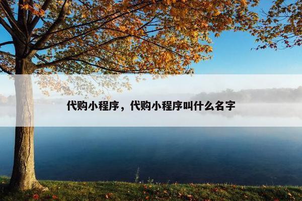 代购小程序，代购小程序叫什么名字