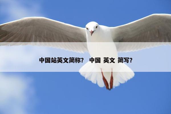 中国站英文简称？ 中国 英文 简写？