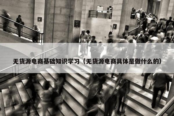无货源电商基础知识学习（无货源电商具体是做什么的）