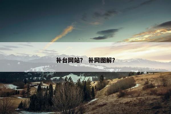 补台网站？ 补网图解？