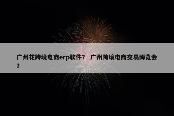 广州花跨境电商erp软件？ 广州跨境电商交易博览会？