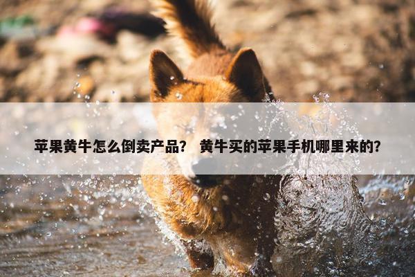 苹果黄牛怎么倒卖产品？ 黄牛买的苹果手机哪里来的？