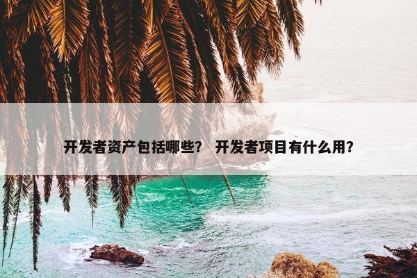开发者资产包括哪些？ 开发者项目有什么用？