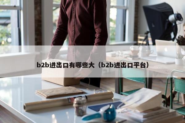 b2b进出口有哪些大（b2b进出口平台）