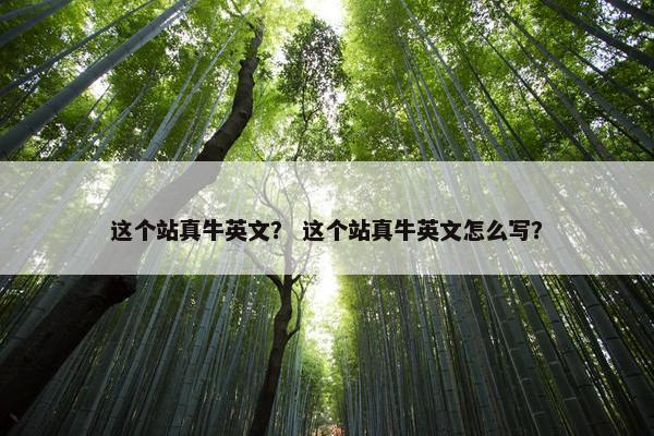 这个站真牛英文？ 这个站真牛英文怎么写？