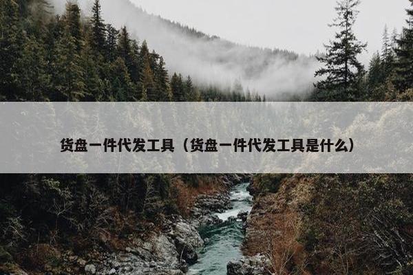 货盘一件代发工具（货盘一件代发工具是什么）