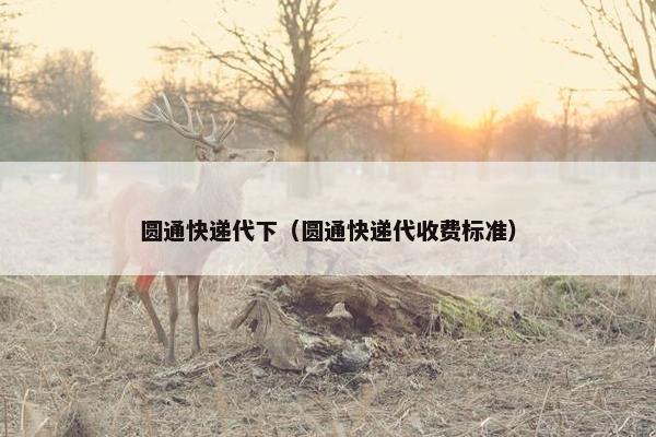 圆通快递代下（圆通快递代收费标准）