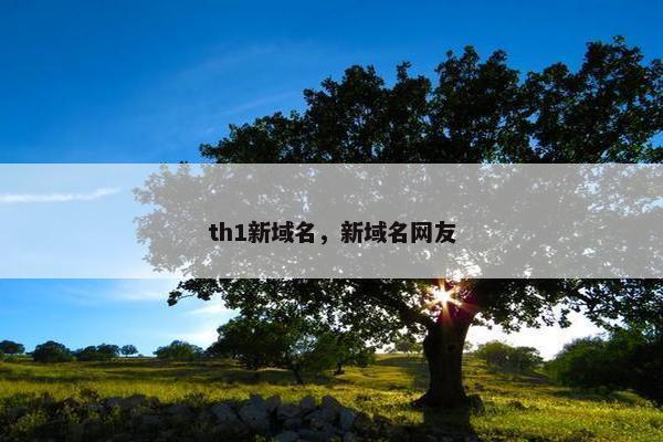 th1新域名，新域名网友