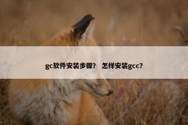 gc软件安装步骤？ 怎样安装gcc？
