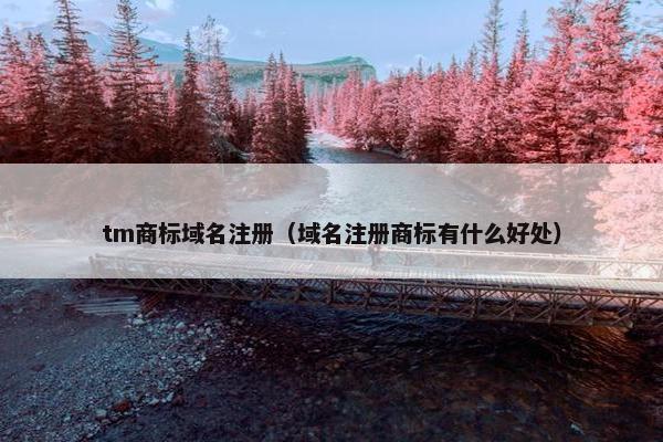 tm商标域名注册（域名注册商标有什么好处）