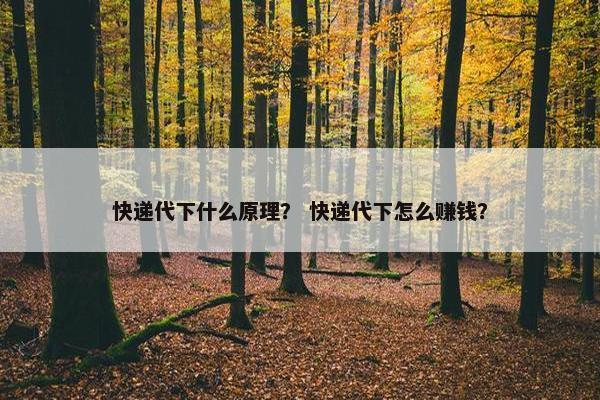 快递代下什么原理？ 快递代下怎么赚钱？