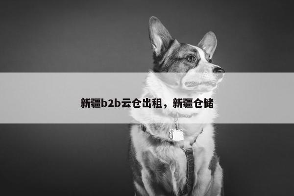 新疆b2b云仓出租，新疆仓储