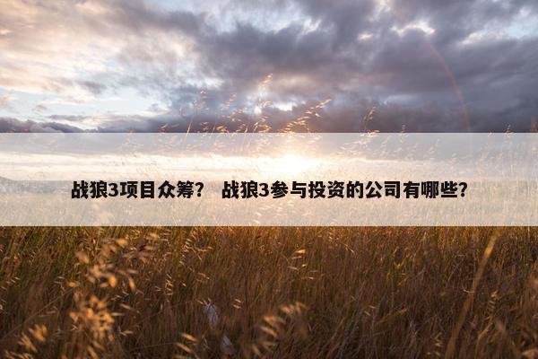 战狼3项目众筹？ 战狼3参与投资的公司有哪些？