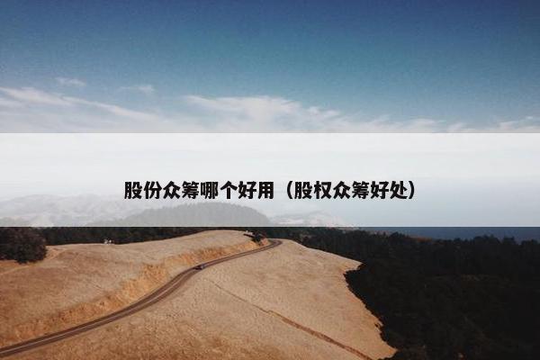 股份众筹哪个好用（股权众筹好处）