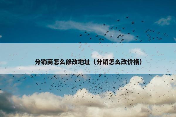分销商怎么修改地址（分销怎么改价格）