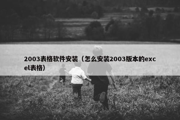 2003表格软件安装（怎么安装2003版本的excel表格）