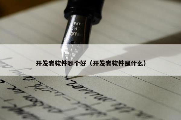 开发者软件哪个好（开发者软件是什么）