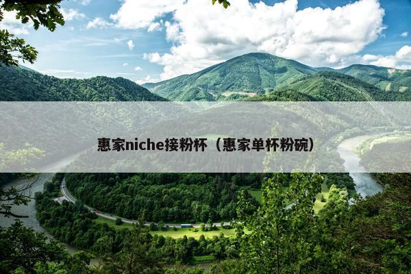 惠家niche接粉杯（惠家单杯粉碗）