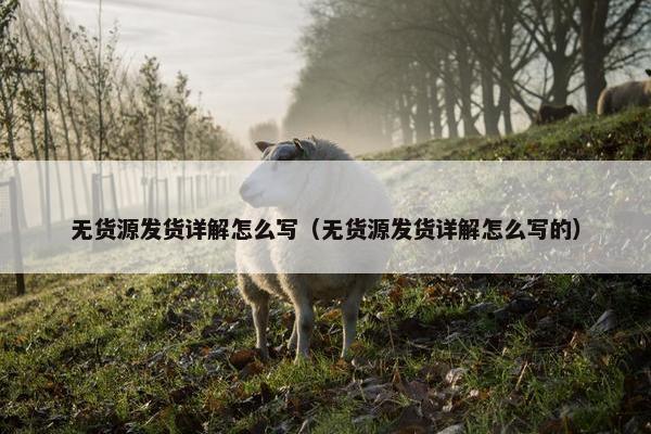无货源发货详解怎么写（无货源发货详解怎么写的）